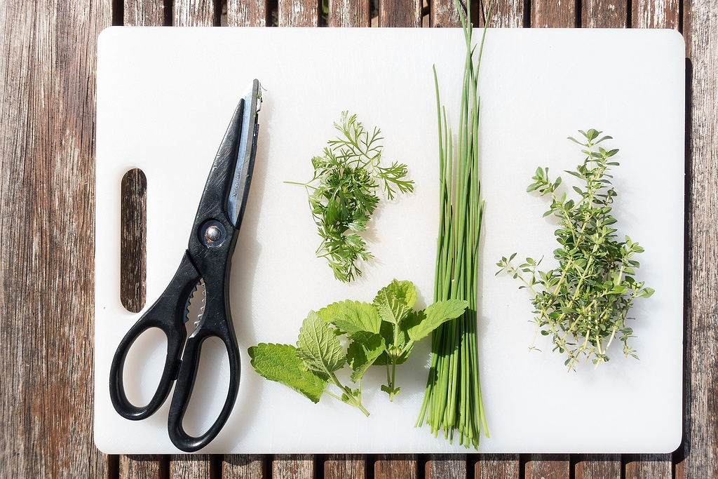 Kitchen knives: Kitchen shears and herbs on a cutting board