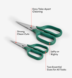 Kitchen Shears Set - Green