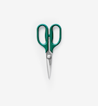Misen kitchen scissors with teal green handles and stainless steel blades