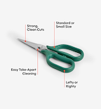 Kitchen Shears - Small - Green