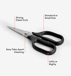 Kitchen Shears - Standard - Black