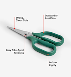 Kitchen Shears - Standard - Green