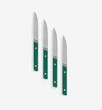 Set of 4 serrated steak knives with green handles and stainless steel blades