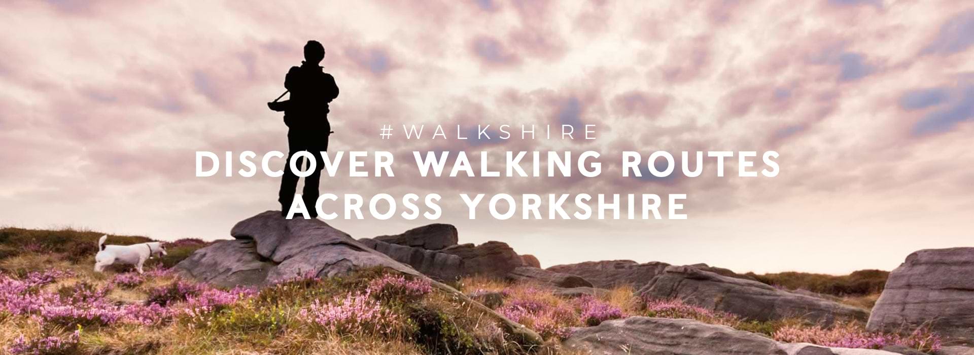 Discover walking routes across yorkshire
