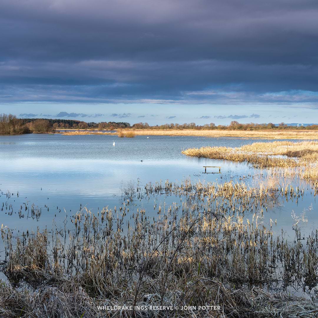 WHELDRAKE INGS RESERVE © John Potter