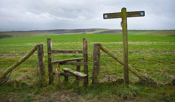 The South Downs Way