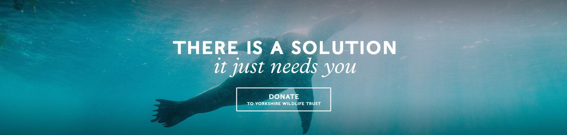 They have the solutions, they just need you. Donate