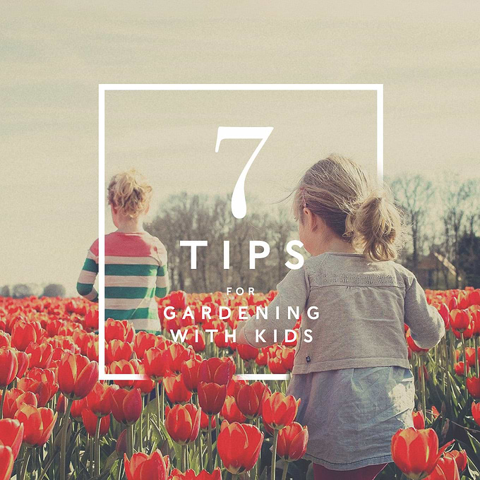 7 tips for gardening with kids