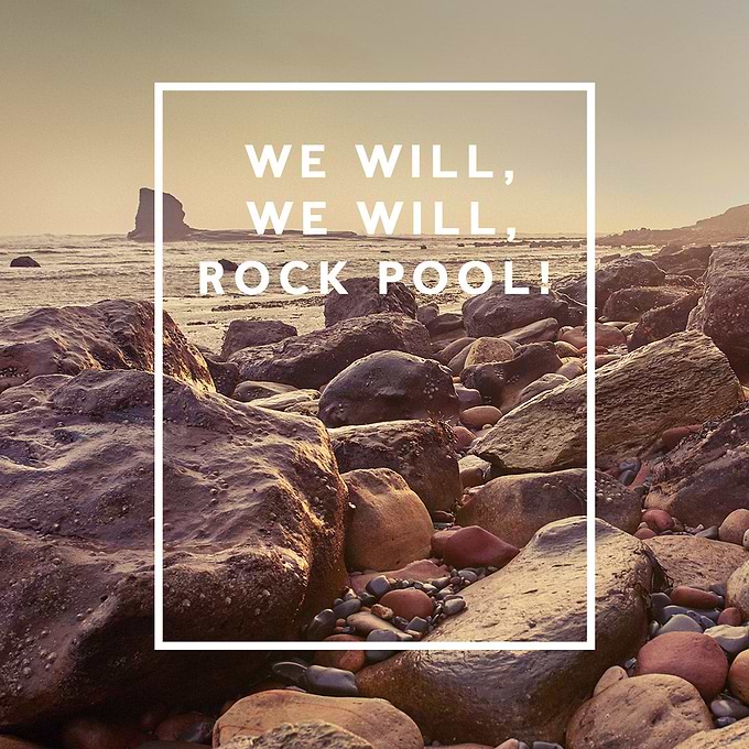 We will, we will, ROCK POOL!