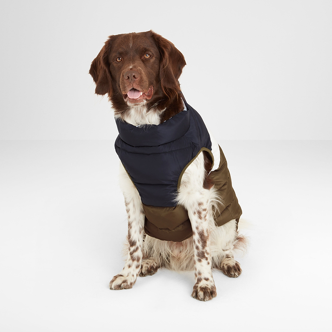 Fetch Padded Dog Coat - Faded Khaki/Dark Indigo/Optic White