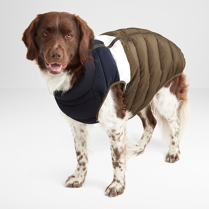 Fetch Padded Dog Coat - Faded Khaki/Dark Indigo/Optic White