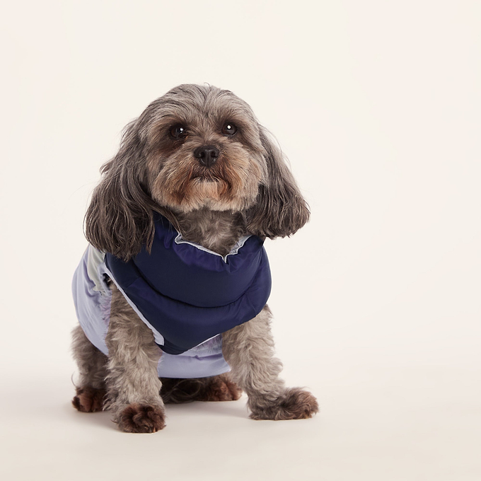 Fetch Padded Dog Coat XS - Oxford Blue/Light Mist/Lavender Grey