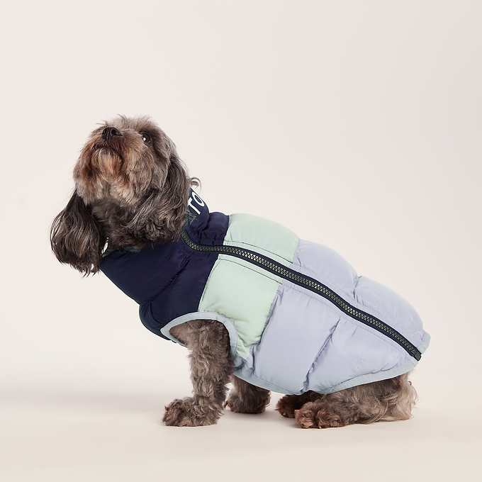Fetch Padded Dog Coat XS - Oxford Blue/Light Mist/Lavender Grey