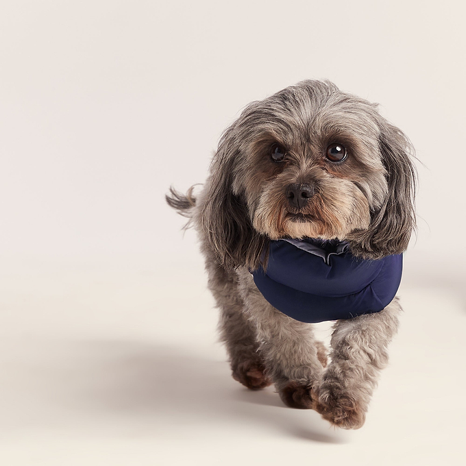 Fetch Padded Dog Coat XS - Oxford Blue/Light Mist/Lavender Grey