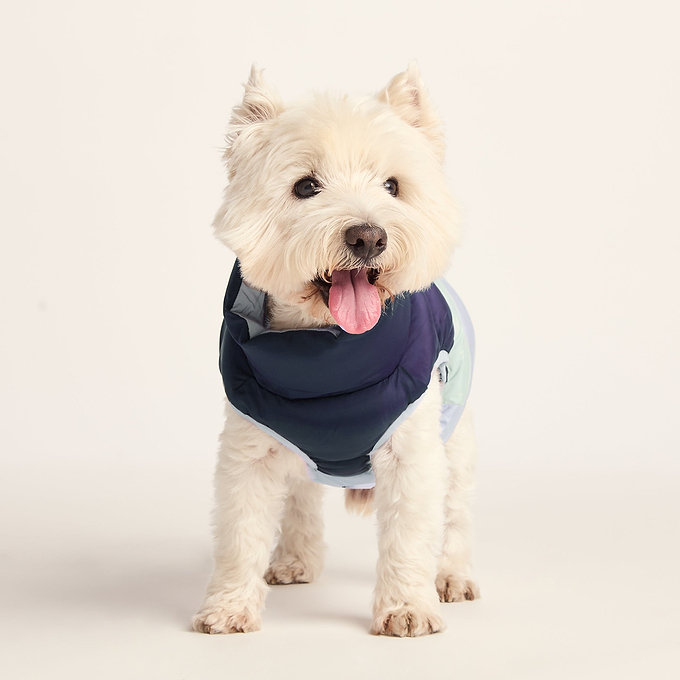 Fetch Padded Dog Coat S - Oxford Blue/Light Mist/Lavender Grey