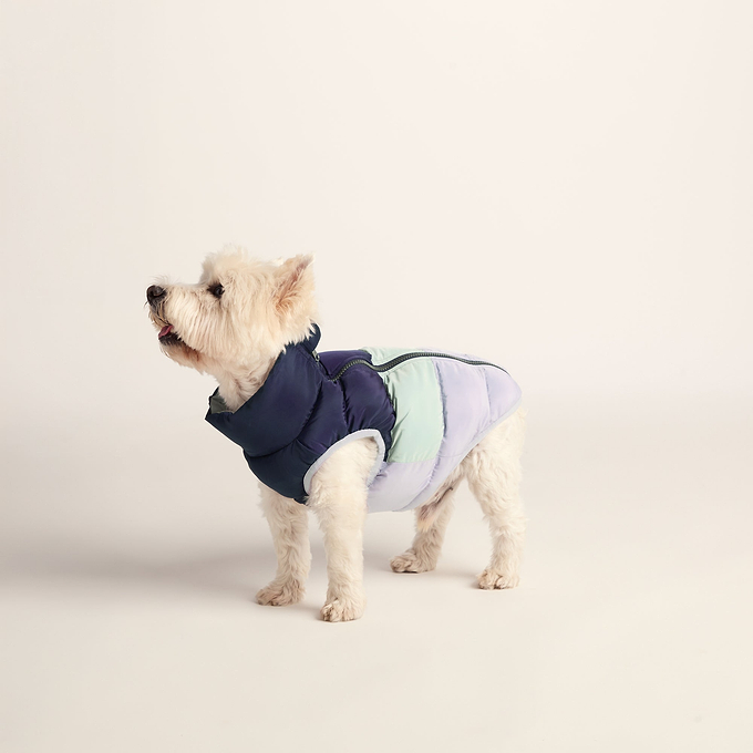 Fetch Padded Dog Coat S - Oxford Blue/Light Mist/Lavender Grey