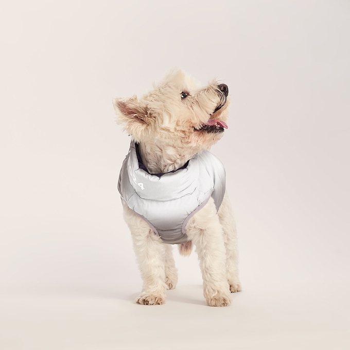 Fetch Padded Dog Coat S - Oxford Blue/Light Mist/Lavender Grey