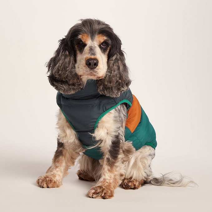 Fetch Padded Dog Coat M - Dark Indigo/Mahogany Orange/Dark Turquoise