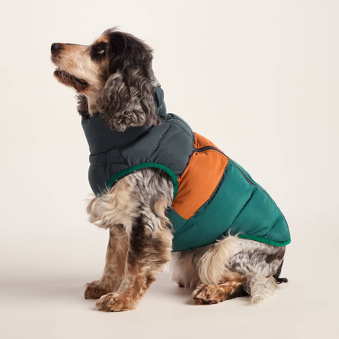 Fetch Padded Dog Coat M - Dark Indigo/Mahogany Orange/Dark Turquoise