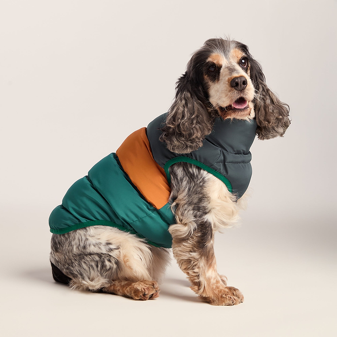 Fetch Padded Dog Coat M - Dark Indigo/Mahogany Orange/Dark Turquoise