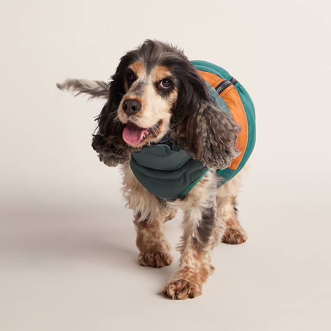 Fetch Padded Dog Coat M - Dark Indigo/Mahogany Orange/Dark Turquoise