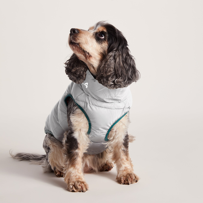 Fetch Padded Dog Coat M - Dark Indigo/Mahogany Orange/Dark Turquoise