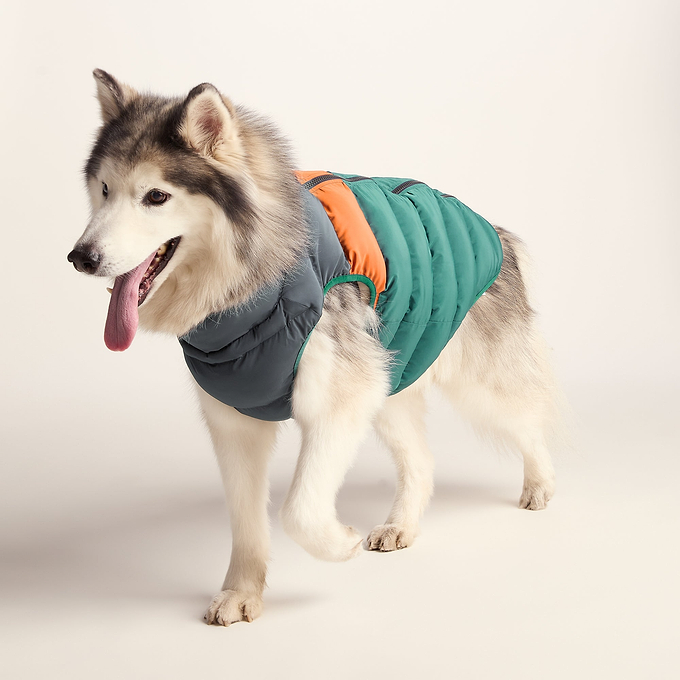 Fetch Padded Dog Coat L - Dark Indigo/Mahogany Orange/Dark Turquoise