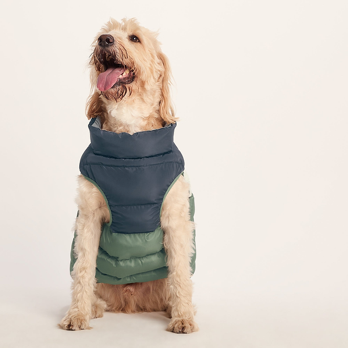 Fetch Padded Dog Coat L - Dark Indigo/Vanilla/Light Forest