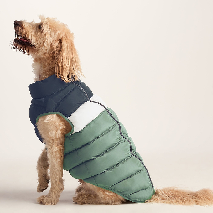 Fetch Padded Dog Coat L - Dark Indigo/Vanilla/Light Forest