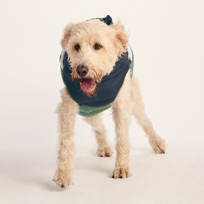 Fetch Padded Dog Coat L - Dark Indigo/Vanilla/Light Forest