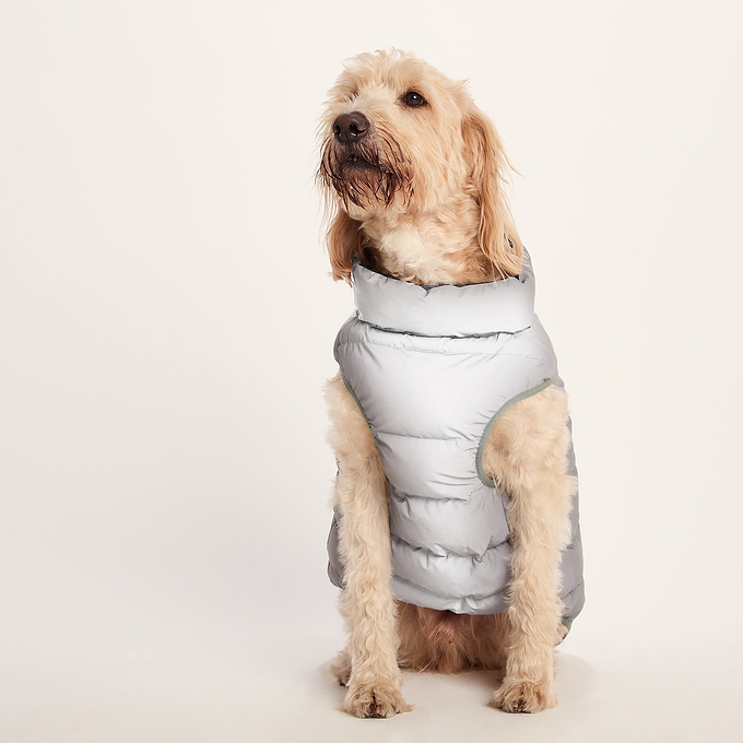 Fetch Padded Dog Coat L - Dark Indigo/Vanilla/Light Forest