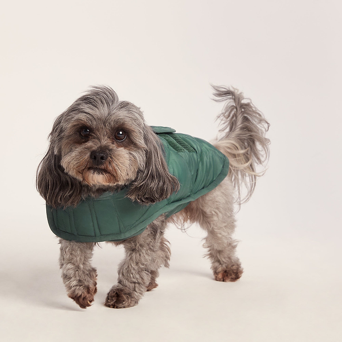 Fido Padded Dog Coat XS - Racing Green