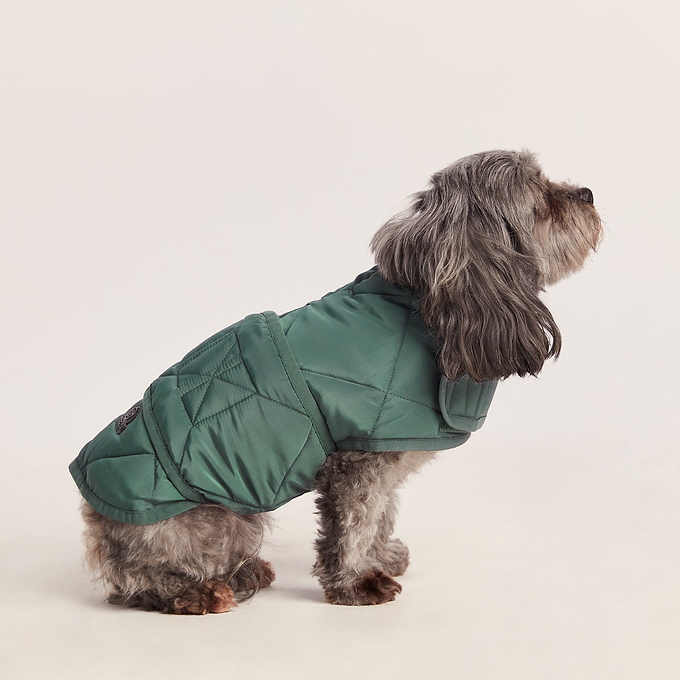 Fido Padded Dog Coat XS - Racing Green