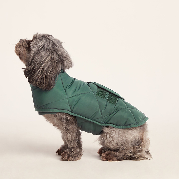 Fido Padded Dog Coat XS - Racing Green