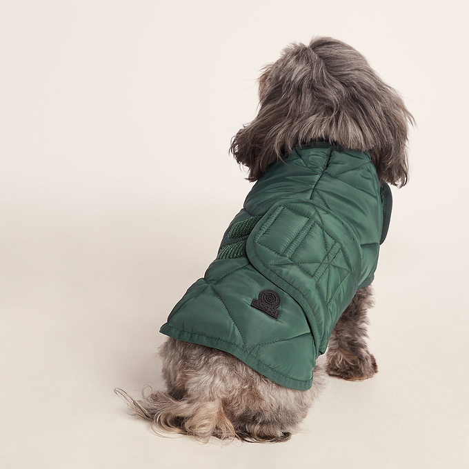 Fido Padded Dog Coat XS - Racing Green