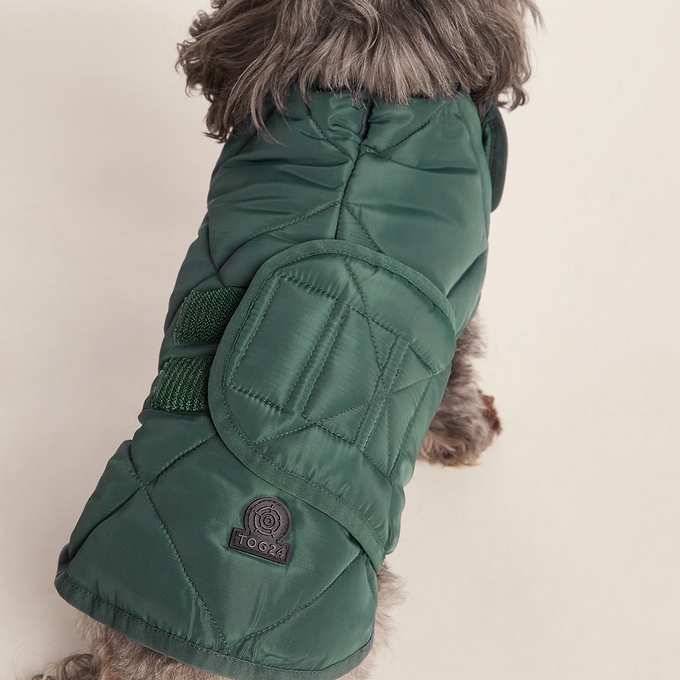 Fido Padded Dog Coat XS - Racing Green