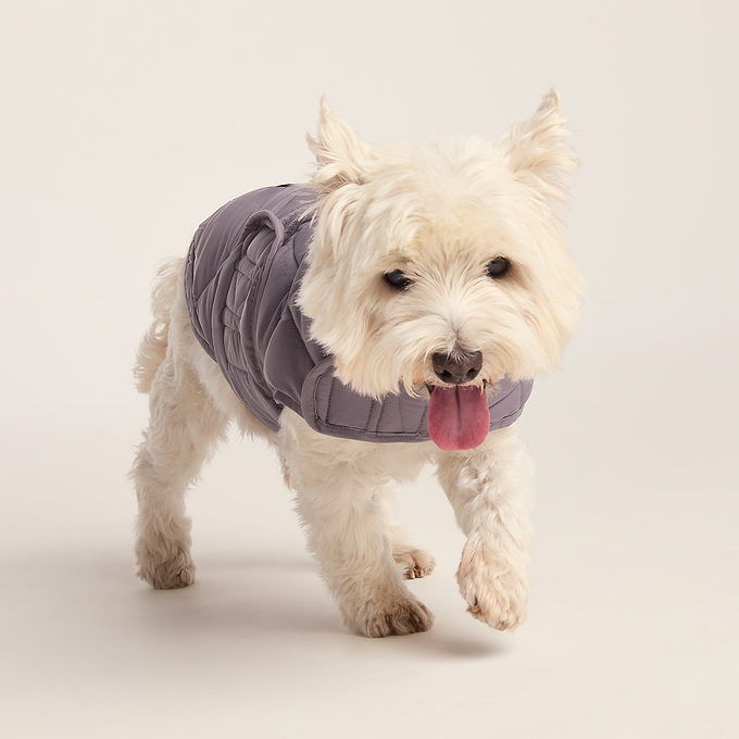 Fido Padded Dog Coat S - Dusky Lilac