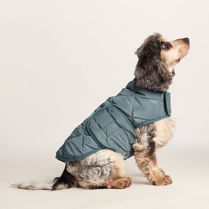 Fido Padded Dog Coat M - Graphite