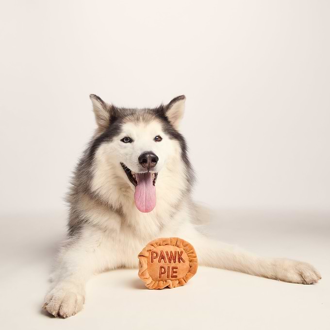 Pawk Image Collection Pawk Pie Dog Plush Toy in Brown with Squeaker| TOG24