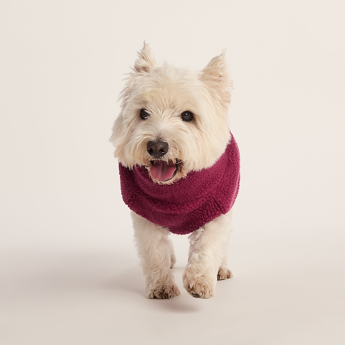 Rover Sherpa Dog Coat S - Washed Burgundy