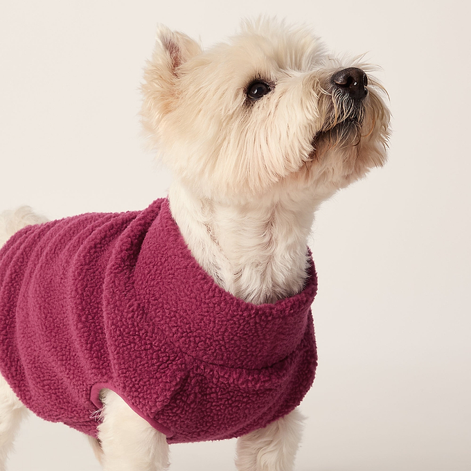 Rover Sherpa Dog Coat S - Washed Burgundy