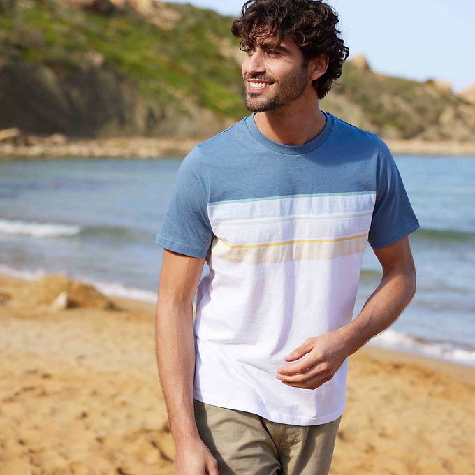 Blaxhall Mens T-Shirt - Blue Dolphin