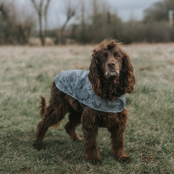 Hound Dog Coat XS - Steel Camo AOP