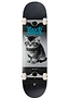 The Arbor Street Revert Kitten Complete Skateboard - 8.0″ x 31.75″ features a black and white kitten graphic with blue text, printed on a sturdy Canadian maple deck.