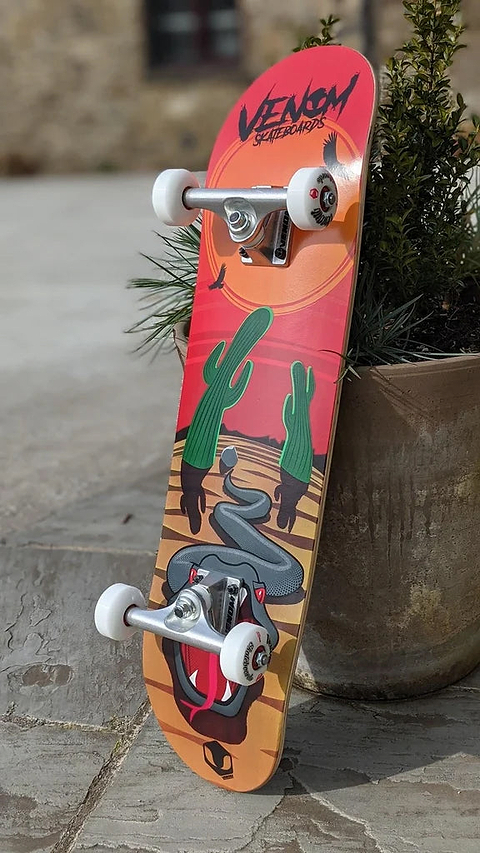 A Venom Junior Desert Viper Kids Complete Skateboard - 7.25″ x 29″ featuring a snake and cacti graphic, propped up against a terracotta pot.