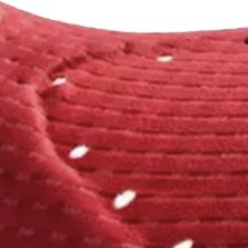PRO SuperFIT Chamois Closeup women