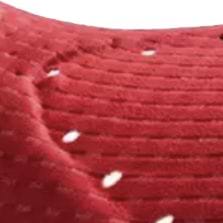PRO SuperFIT Chamois Closeup women