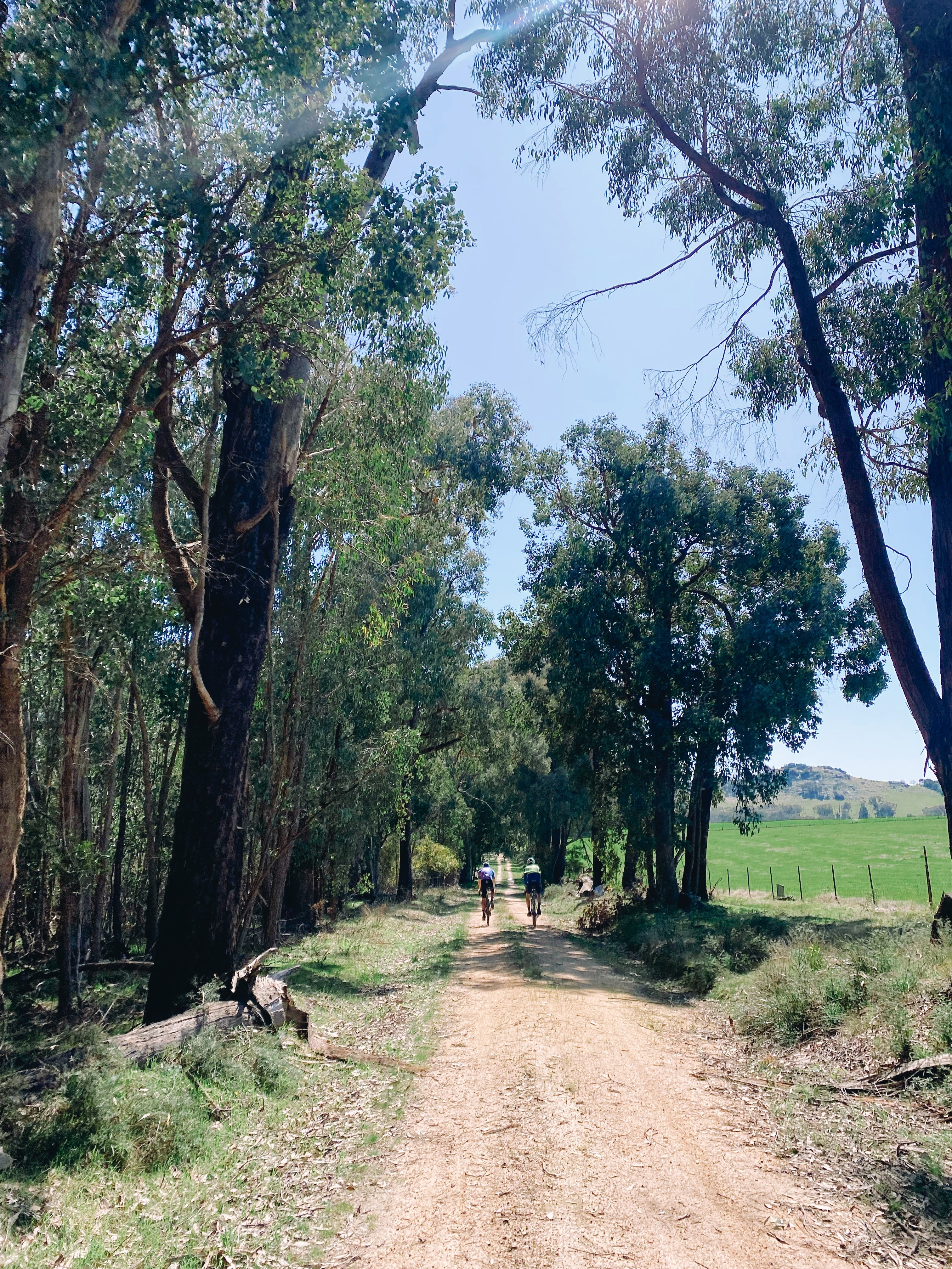 Image of a gravel road nearby Beechworth with a couple of cyclists up ahead.