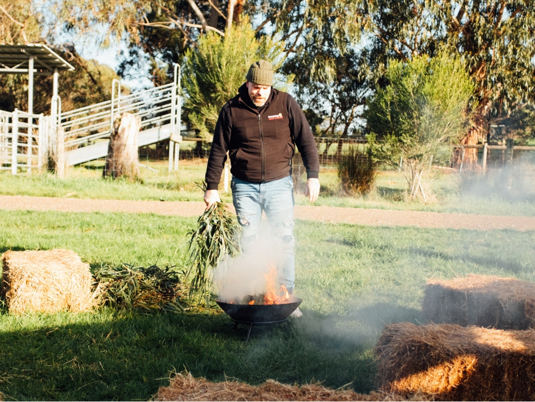 Welcome to country before tree planting on Boonwurrung Country