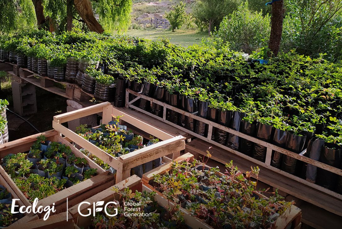 Ecologi - 1 tree planted for every purchase